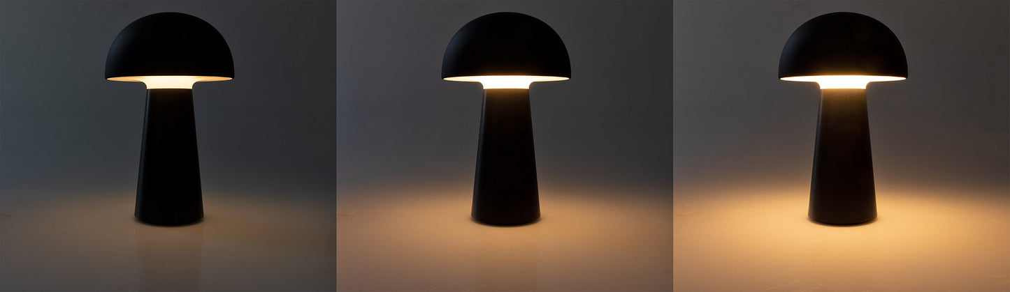 LED Akku-Tischleuchte "Foco Seta"