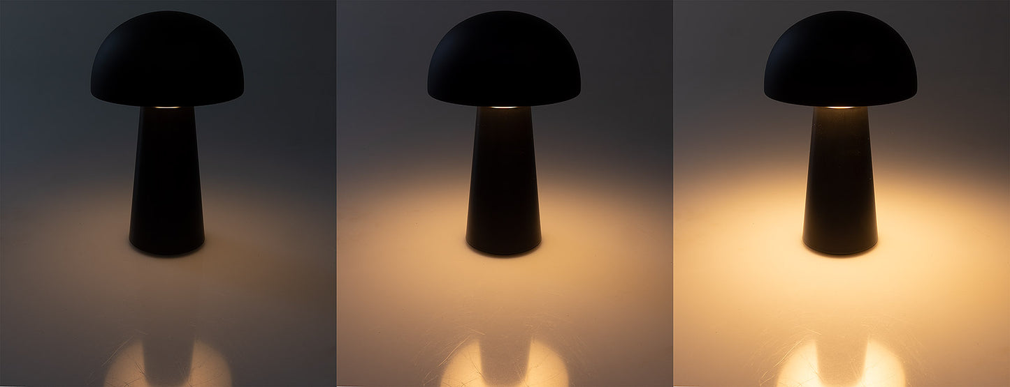 LED Akku-Tischleuchte "Foco Seta"